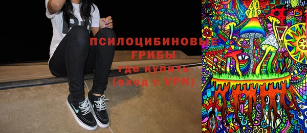 a pvp Кулебаки