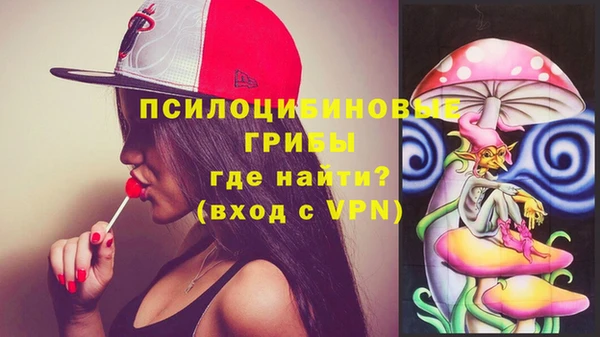 a pvp Кулебаки